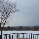 경안천습지생태공원 | 경기도 퇴촌 조류 관찰하기 좋은 곳, 경안천습지생태공원, 고니월동지