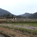 [전남 고흥]동강 당곡마을~두방산(489m)~병풍산(479m)~비조암(456m)~첨산(313m)~당곡마을 회귀하기(2015/4/12/일 오후) 이미지
