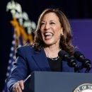 알리코제약(주) 이미지