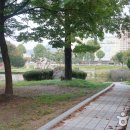 음성군 향토민속자료전시관 이미지