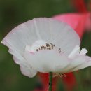 상동호수공원 이미지