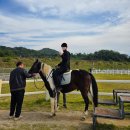 악양 승마장 | 경남 함안 여행 가볼만한곳 함안군 승마공원 악양승마장