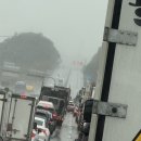 중부내륙 고속도로 하행 충주분기점 사고로인해 전면통제 이미지