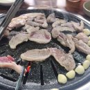 새건강동물약국 이미지