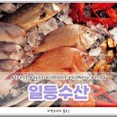 일등수산물 이미지