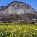 서쪽사계 이미지