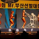 미스터부