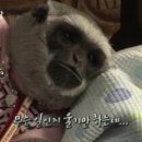 술대장 Daum카페