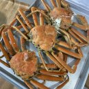 바다세상민박 이미지