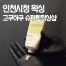 인천시청 | 인천시청왁싱 고쿠하쿠 슈가링 왁싱 솔직후기