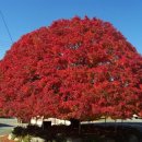 대구면사무소 이미지