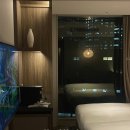 중앙레스파 | 일본 오사카_호텔 한큐 그란 레스파이어, 가는 법, 스탠다드 트윈룸, 부대시설