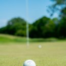 Top스크린골프클럽 이미지