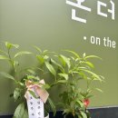 더리치식당 이미지