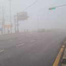 임월교 앞 이미지