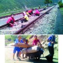 갈렙농장 이미지