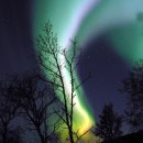 Aurora Borealis ( Northern Light ) 이미지