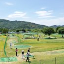 강정동-55 이미지