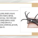 고르고 이미지