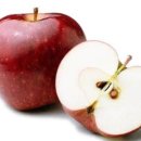 논어이야기 이미지