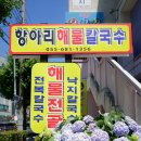 장승포1로 | [거제도 칼국수 맛집] 장승포 항아리해물칼국수 방문 후기