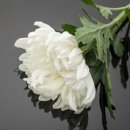 송탄종합약국 이미지