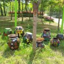 정관초등학교병설유치원 이미지