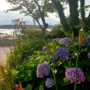 쇠섬스토리 이미지