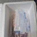 야닭 | 수제 닭꼬치' & 대구 '푸른회식당 오징어무침회'캠핑 밀키트 내돈내산 후기(포장 상태, 먹는 법, 택배)