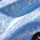 파도 한 송이 이미지