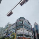 소안초등학교3 이미지