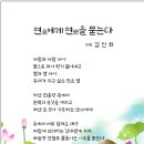 연에게 연을 묻는다 / 궁남지 연꽃축제 시화전 출품작품 이미지