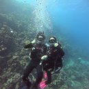 11590-나86-4 | 이집트🇪🇬 | 다합(Dahab) | 스쿠버 다이빙 체험•파르샤 카페 | Day86