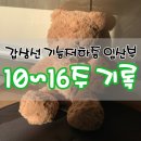 임신 10주차부터 16주차까지, 입덧이 끝나 행복한 임산부의 잘 먹은 기록(니프티검사, 임산부감기...