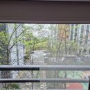 이(e)편한세상5단지 아파트 | 여수 아파트유리창문청소 학동 e편한세상 더 퍼스트,거실창 청소로 '진짜'조망권을 되찾다!