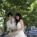 유하 이미지