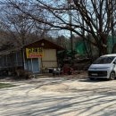 카페 고래섬 | 인천 계양 아라뱃길 백숙 맛집 고래섬&카페둑실 애견동반 가능 방문후기!!