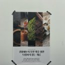 벨라시타가정의학과의원 | [일산/백석] 일산 수제 아이스크림 젤라또 맛집 | 글라쇼 벨라시타점