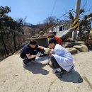 연기동물병원 이미지