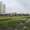 성내3리 티스토리