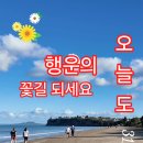 ■ 행운의 꽃길/Today^ 이미지