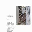 보금자리 이미지