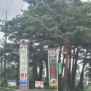 고향백숙 티스토리