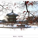백야 이미지