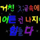 당근투어 이미지