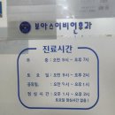 보아스 | 검암 보아스이비인후과의원 , 백일해검사 PCR 검사 후기 및 비용