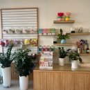 도그루밍 이미지