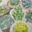 샐리네 살롱 이미지