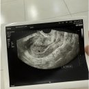 에이비씨여성의원 이미지