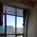 광교솔로몬
